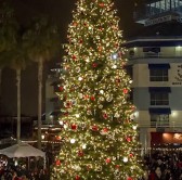 Image of Jack London Square tree lighting for 2018
