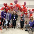 Thumbnail of Oakland Airport will show puppy love to passengers this Valentine’s Day